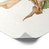  vogelillustratie poster (Hoek)