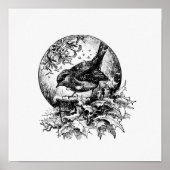  vogelillustratie poster (Voorkant)