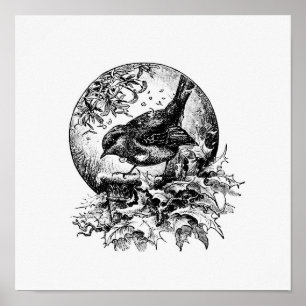 vogelillustratie poster