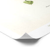  vogelillustratie - Siskin Poster (Hoek)