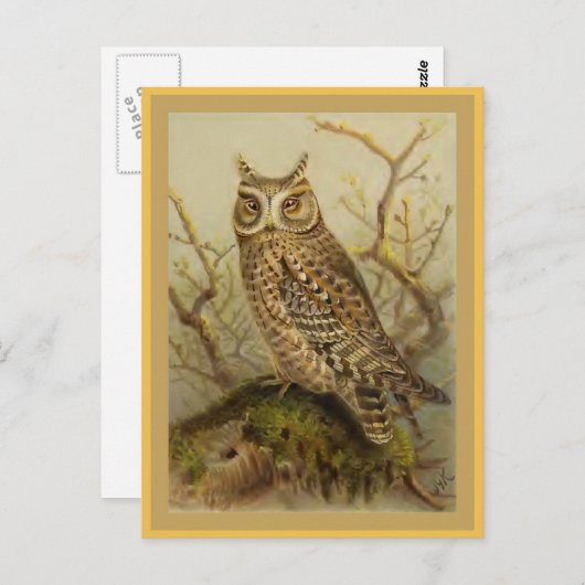 vogelillustratie van SACHOwl Briefkaart (Voorkant / Achterkant)