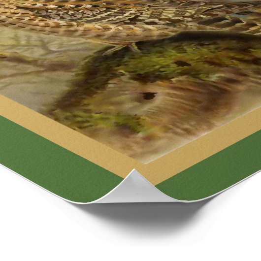  vogelillustratie van SACHOwl Poster (Hoek)