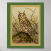  vogelillustratie van SACHOwl Poster (Voorkant)