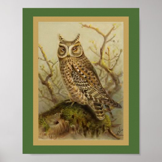  vogelillustratie van SACHOwl Poster (Voorkant)