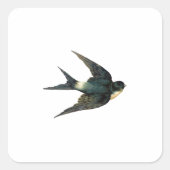  vogelillustratie vierkante sticker (Voorkant)