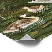  vogelillustratie "Whooper Swan" Poster (Hoek)