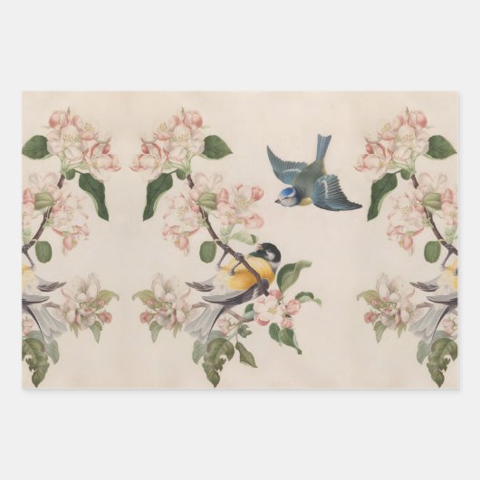  vogelillustraties kunst inpakpapier vel (Voorkant 3)