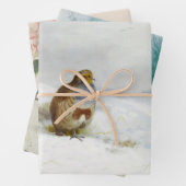  vogelillustraties kunst inpakpapier vel (In situ)