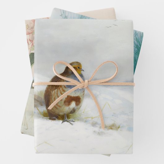  vogelillustraties kunst inpakpapier vel (In situ)