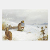  vogelillustraties kunst inpakpapier vel (Voorkant)