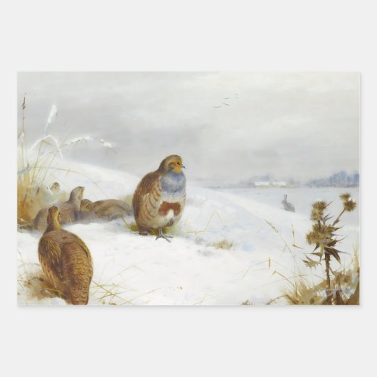  vogelillustraties kunst inpakpapier vel (Voorkant)