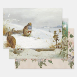  vogelillustraties kunst inpakpapier vel