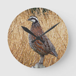 Vogeljacht, Bobwhite Quail Hunting Ronde Klok