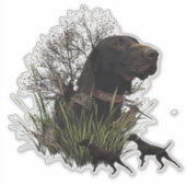 Vogeljacht, Duitse sticker Shorthaired Pointer (Voorkant)