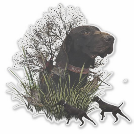 Vogeljacht, Duitse sticker Shorthaired Pointer (Voorkant)