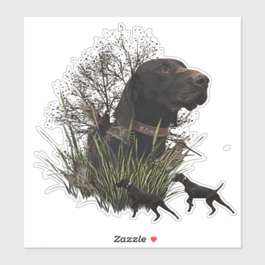 Vogeljacht, Duitse sticker Shorthaired Pointer (Vel)