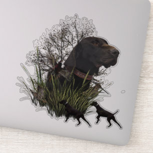 Vogeljacht, Duitse sticker Shorthaired Pointer