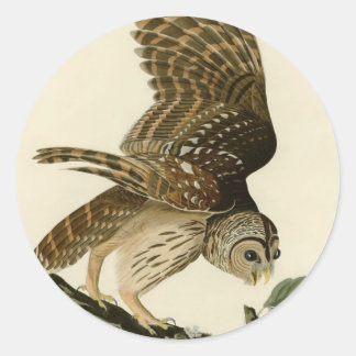 vogeljacht met luchtkussenjacht op Audubon Barred Ronde Sticker