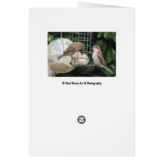  vogelkaart (Achterkant)