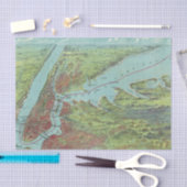 vogelkaart met Uitzicht van New York en omgeving Tissuepapier (Craft)