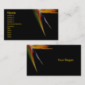 Vogelkaart van het paradijs visitekaartje (Voorkant / Achterkant)