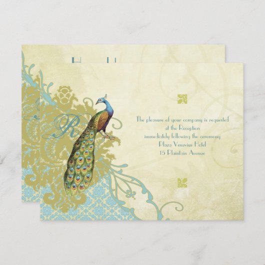  vogelkaart voor duinen kaart (Voorkant / Achterkant)