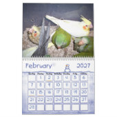 Vogelkalender 1 kalender (Feb 2027)