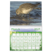 Vogelkalender 1 kalender (Mar 2027)