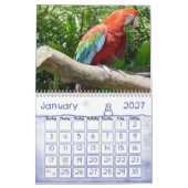 Vogelkalender 1 kalender (Jan 2027)