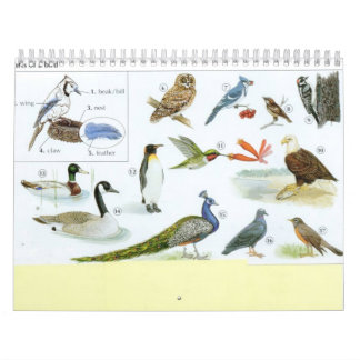 Vogelkalender 1 kalender