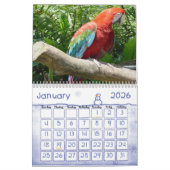 Vogelkalender 1 kalender (Jan 2026)