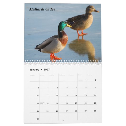 Vogelkalender 2010 kalender (Jan 2027)