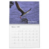 Vogelkalender 2010 kalender (Feb 2027)