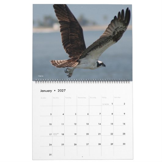 vogelkalender 2012 kalender (Jan 2027)