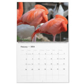 vogelkalender 2012 kalender (Feb 2026)