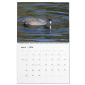 vogelkalender 2012 kalender (Mar 2026)