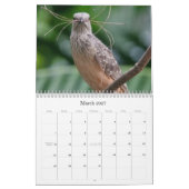 Vogelkalender 2013-2014 kalender (Mar 2027)