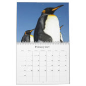 Vogelkalender 2013-2014 kalender (Feb 2027)
