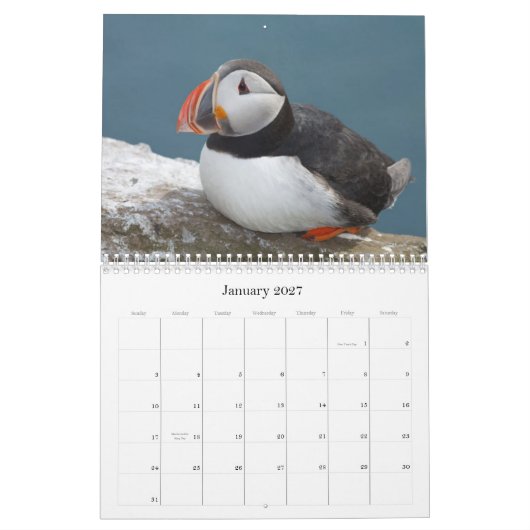 Vogelkalender 2013-2014 kalender (Jan 2027)