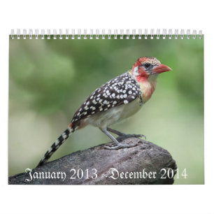 Vogelkalender 2013-2014 kalender