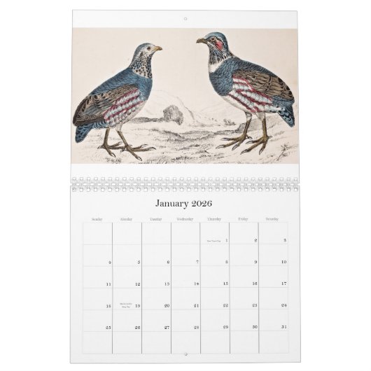  vogelkalender - 2013 kalender (Jan 2026)