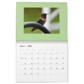 vogelkalender 2019 kalender (Mar 2026)