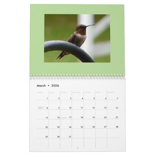 vogelkalender 2019 kalender (Mar 2026)