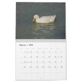 vogelkalender 2019 kalender (Feb 2026)