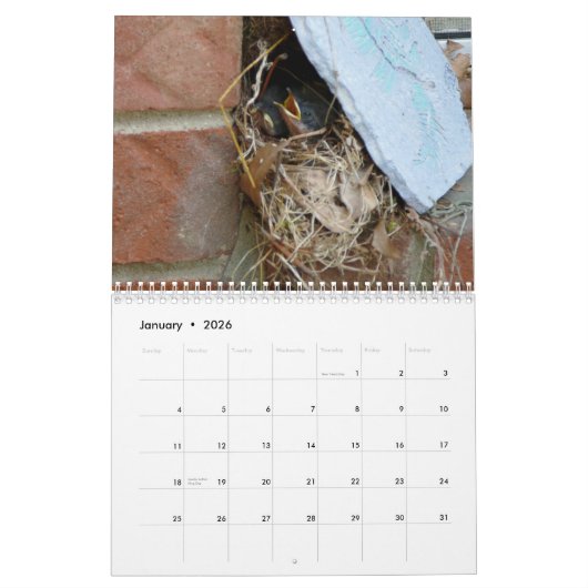 vogelkalender 2019 kalender (Jan 2026)