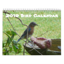 vogelkalender 2019