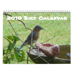 vogelkalender 2019 kalender