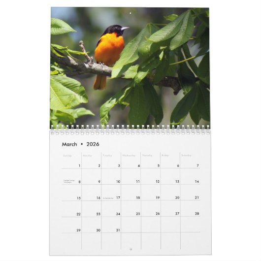 Vogelkalender 2020 kalender (Mar 2026)