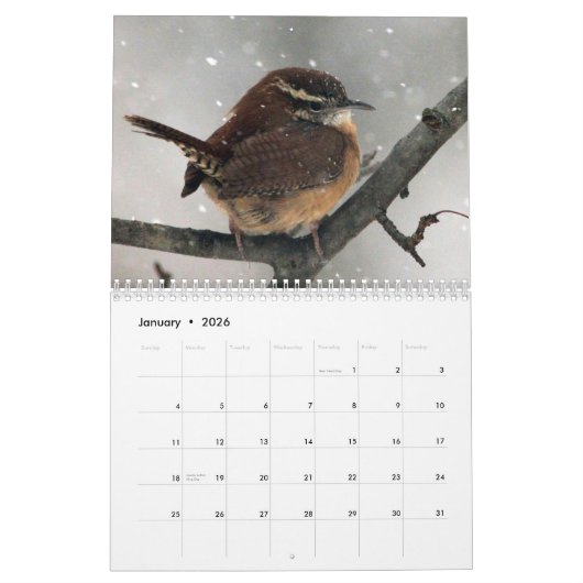 Vogelkalender 2020 kalender (Jan 2026)
