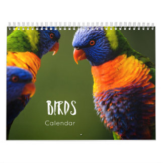 vogelkalender 2023 kalender